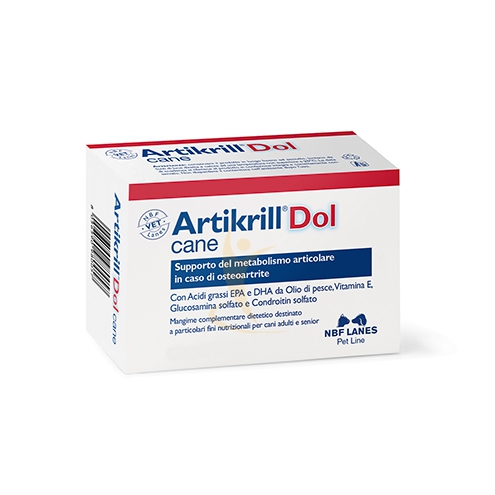 N.b.f. Lanes Artikrill Dol Cane Blister 30 Perle