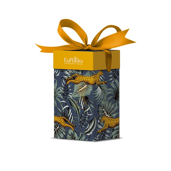 Euphidra Cofanetto Natale Linea Mr. Gentleman Doccia Shampoo+Schiuma Det+Trousse