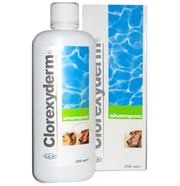 ICF Farmaceutici Linea Animali Domestici Clorexyderm Shampoo Cani e Gatti 250 ml