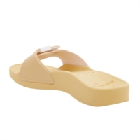 Dr 2025 scholl mango